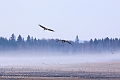 IMG_9871