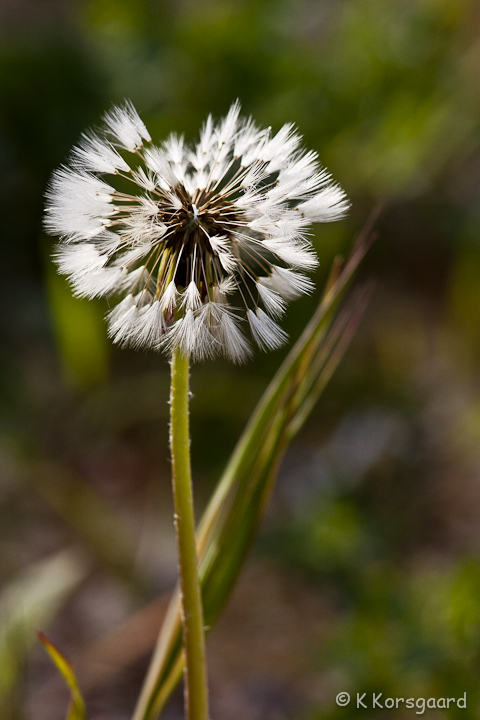 _MG_9398.jpg