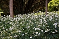 IMG_0508-EditA