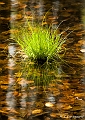 _MG_6096