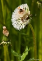 _MG_9421-Edit