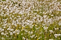 _MG_9834