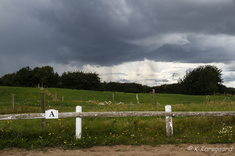 _MG_2640.jpg