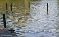 _MG_1587-Edit