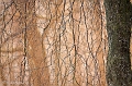 _MG_5684-Edit