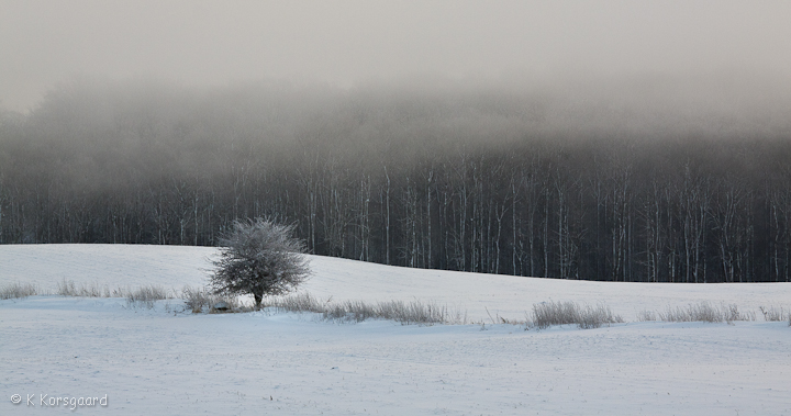 _MG_9426.jpg