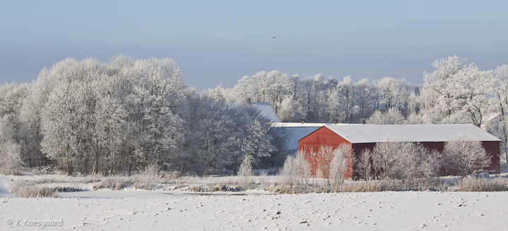_MG_9436.jpg