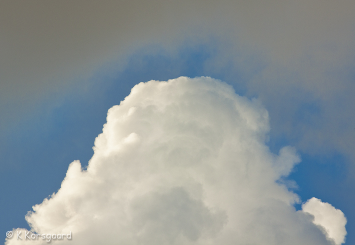 _MG_8769.jpg