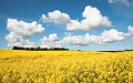 IMG_3484-Edit