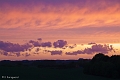_MG_9855-Edit